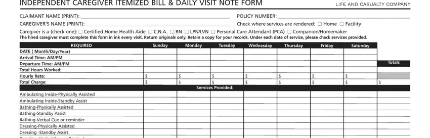 caregiver daily log fields to fill out