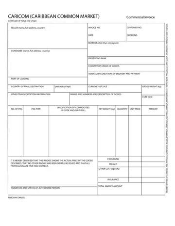 Caricom Invoice Form Preview