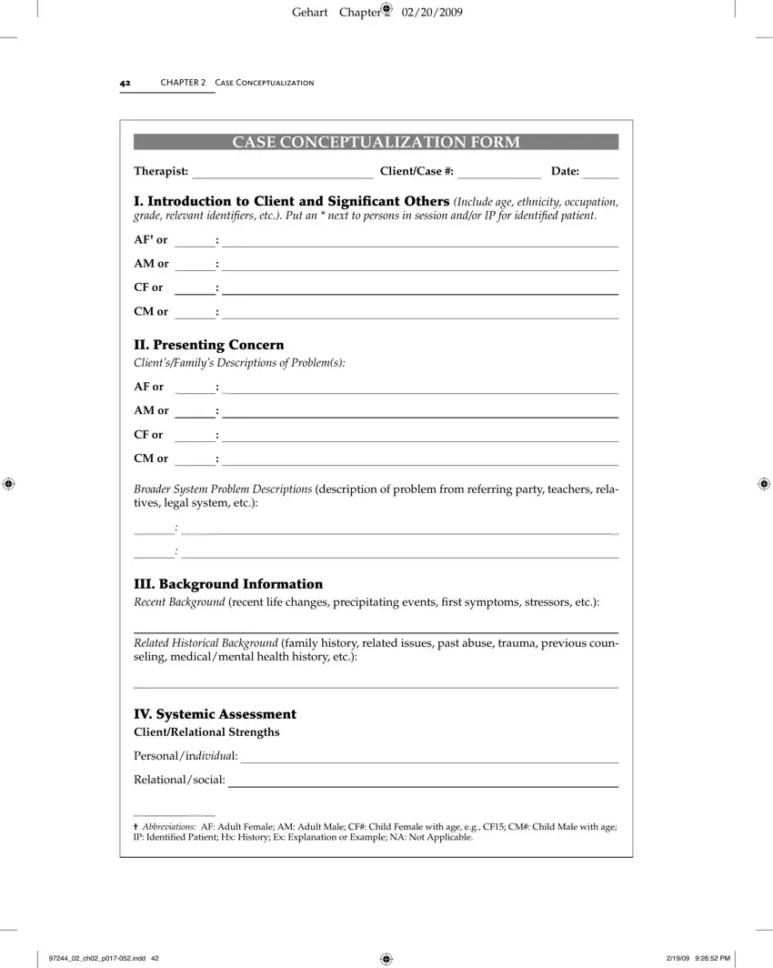 Case Conceptualization Form first page preview