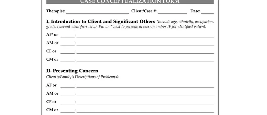 example of empty fields in case conceptualization format