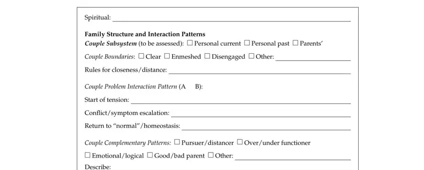 case conceptualization format Spiritual, Family Structure and Interaction, Couple Boundaries  Clear  Enmeshed, Rules for closenessdistance, Couple Problem Interaction Pattern, Start of tension, Conl ictsymptom escalation, Return to normalhomeostasis, Couple Complementary Patterns, and Emotionallogical  Goodbad parent fields to complete