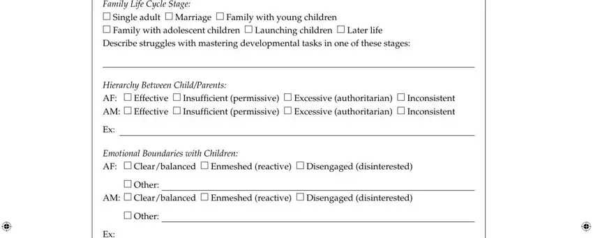 case conceptualization format IV Systemic Assessment Family, Hierarchy Between ChildParents AF, Emotional Boundaries with Children, Other, AM  Clearbalanced  Enmeshed, and Other fields to insert