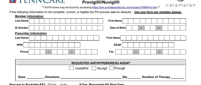 catamaran prior authorization form