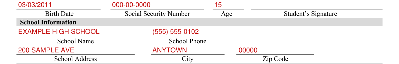 CDE Form B1-1 example filled out, school Information