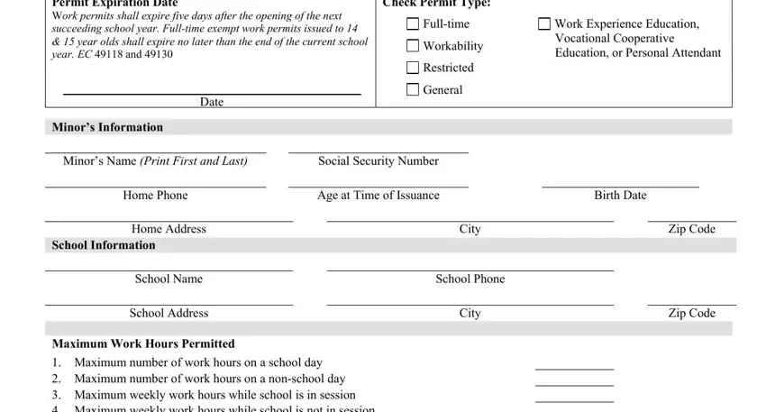 completing b1 4 work permit stage 1