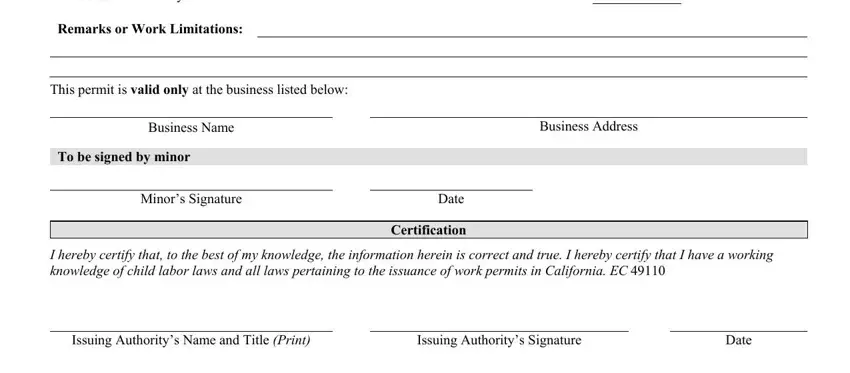 Entering details in b1 4 work permit step 2