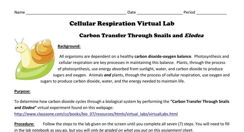 carbon transfer through snails and elodea virtual lab worksheet answers fields to complete