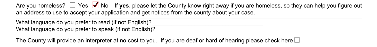 CF 285 example filled out, interpreter at no cost