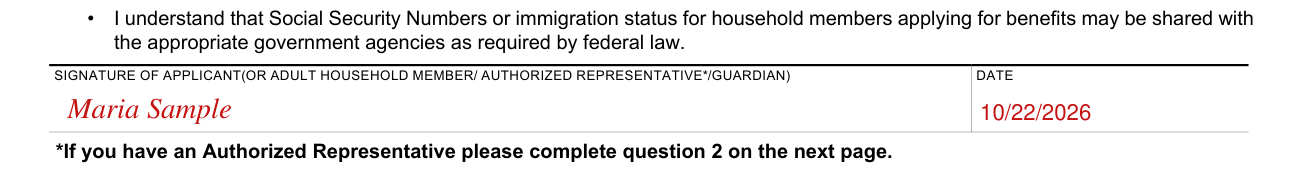 CF 285 example filled out, signature of applicant