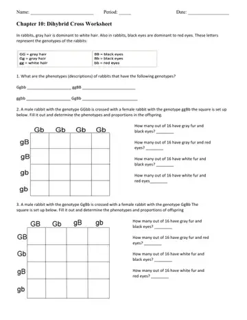 Chapter 10 Dihybrid Cross Worksheet Form Preview