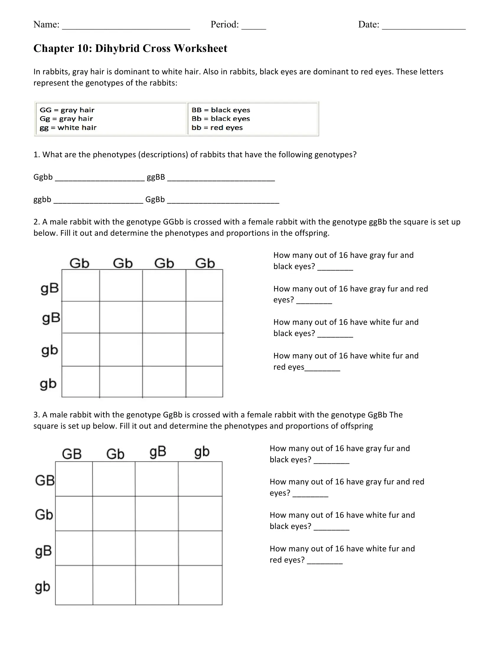 Chapter 10 Dihybrid Cross Worksheet PDF Form FormsPal