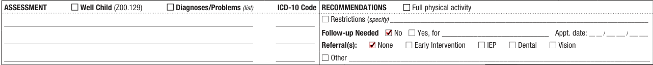 Form CH205 example filled out, aSSESSMENT and RECOMMENDATIONS