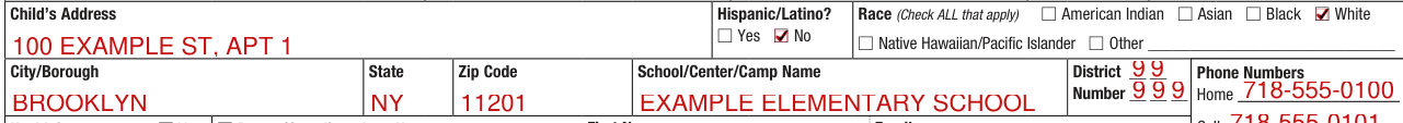 Form CH205 example filled out, child's Address, Hispanic/Latino?, Race and School/Center/Camp Name