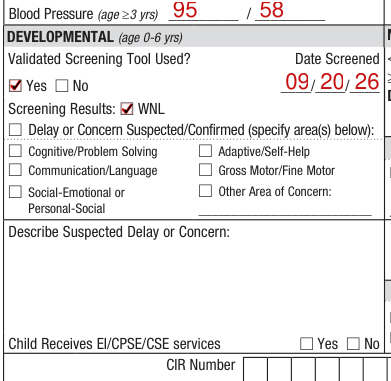Form CH205 example filled out, dEVELOPMENTAL (age 0-6 yrs)