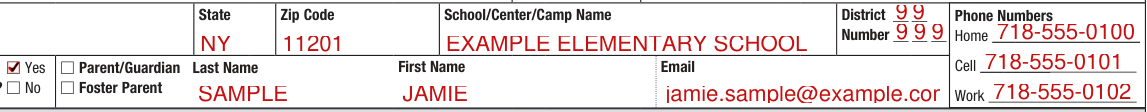 Form CH205 example filled out, health insurance, Parent/Guardian and Phone Numbers