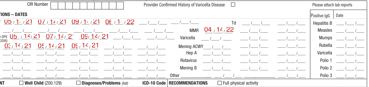 Form CH205 example filled out, iMMUNIZATIONS - DATES, Positive IgG Date and CIR Number