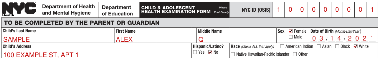 Form CH205 example filled out, nYC ID (OSIS), name, Sex and Date of Birth