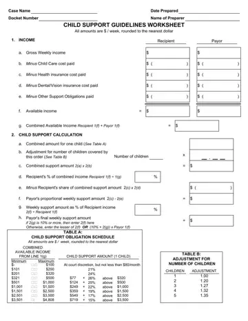 Child Support Worksheet Preview