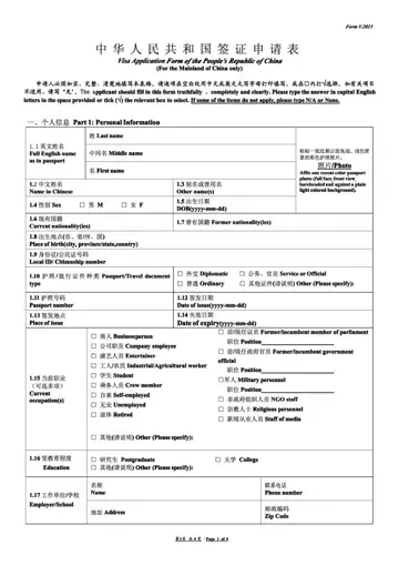 Chinese Visa Application Form Preview