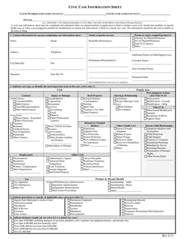 Civil Case Information Sheet Form Preview