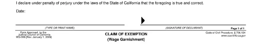 form wage garnishment exemption  fields to fill