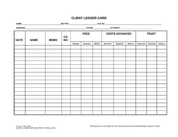 Client Ledger Card Form Preview