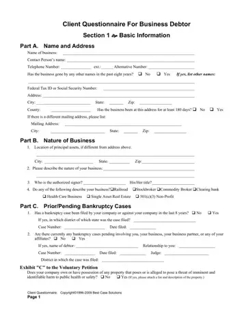 Client Questionnaire Business Form Preview