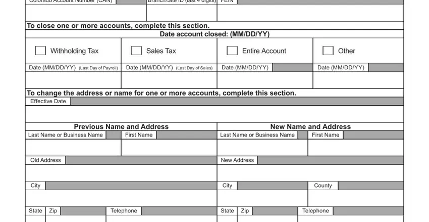 SSN fields to fill out