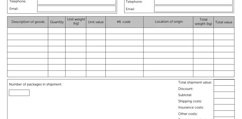 Filling in customs invoice template stage 2