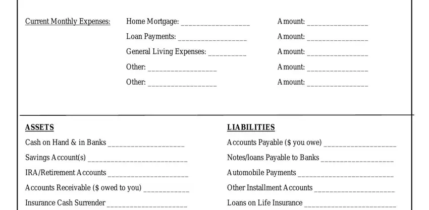 commercial lease application template Current Monthly Expenses, Home Mortgage, Amount, Loan Payments, Amount, General Living Expenses, Amount, Other, Amount, Other, Amount, ASSETS, LIABILITIES, Cash on Hand  in Banks, and Accounts Payable  you owe blanks to fill out