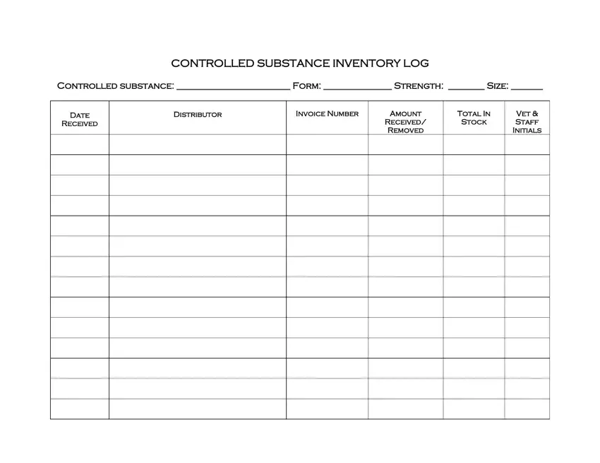 Controlled Drug Log Template first page preview