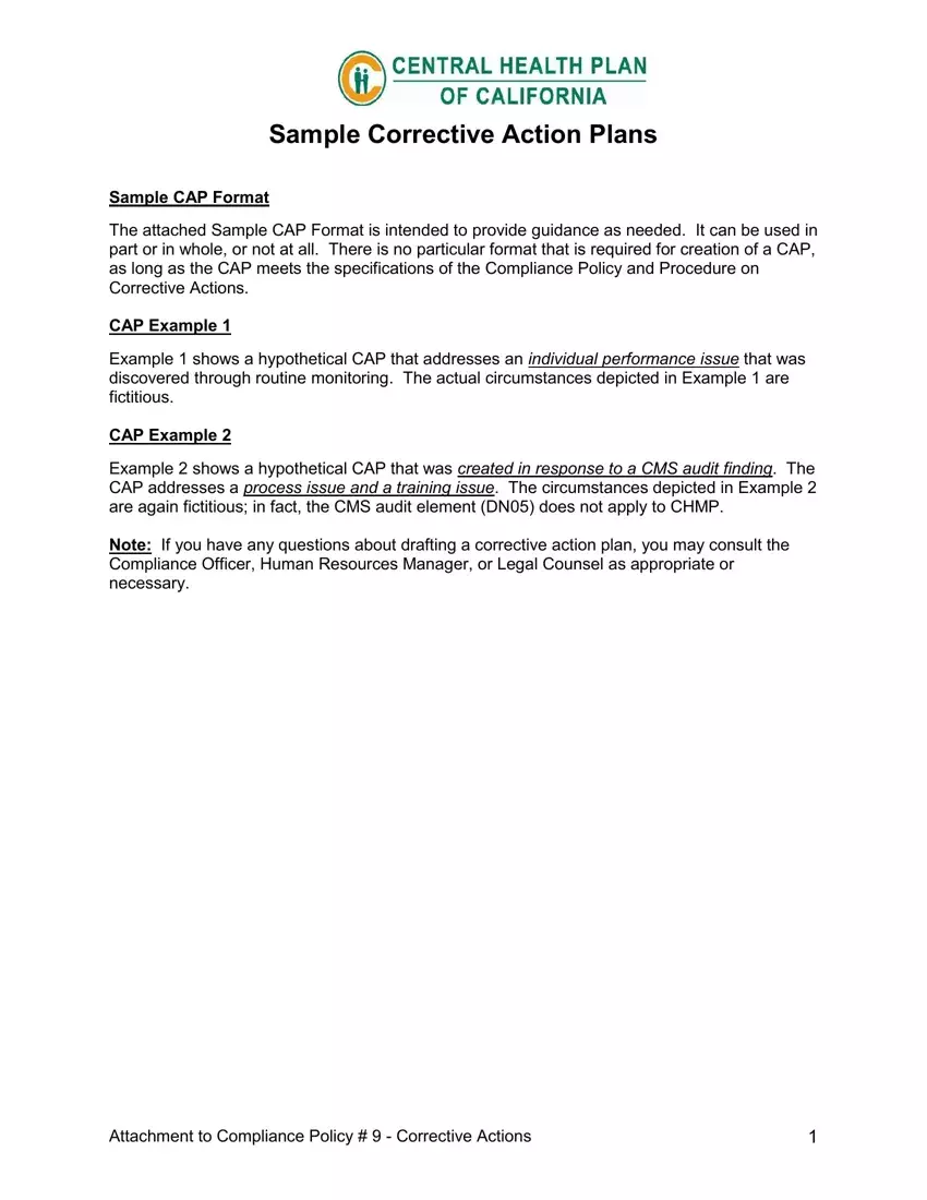 Corrective Action Plan first page preview