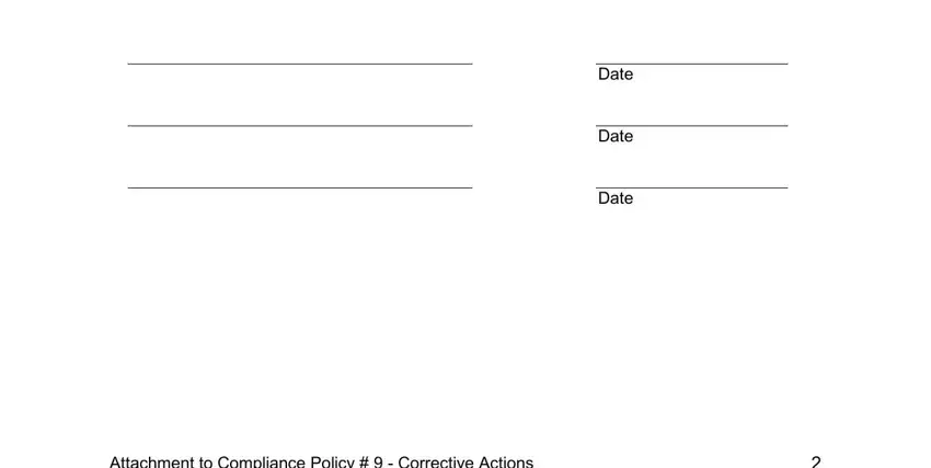 corrective action plan pdf fields to fill out