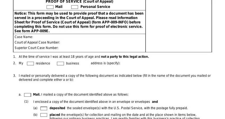 example of fields in court proof service