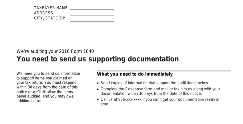 example of gaps in irs audit envelope sample