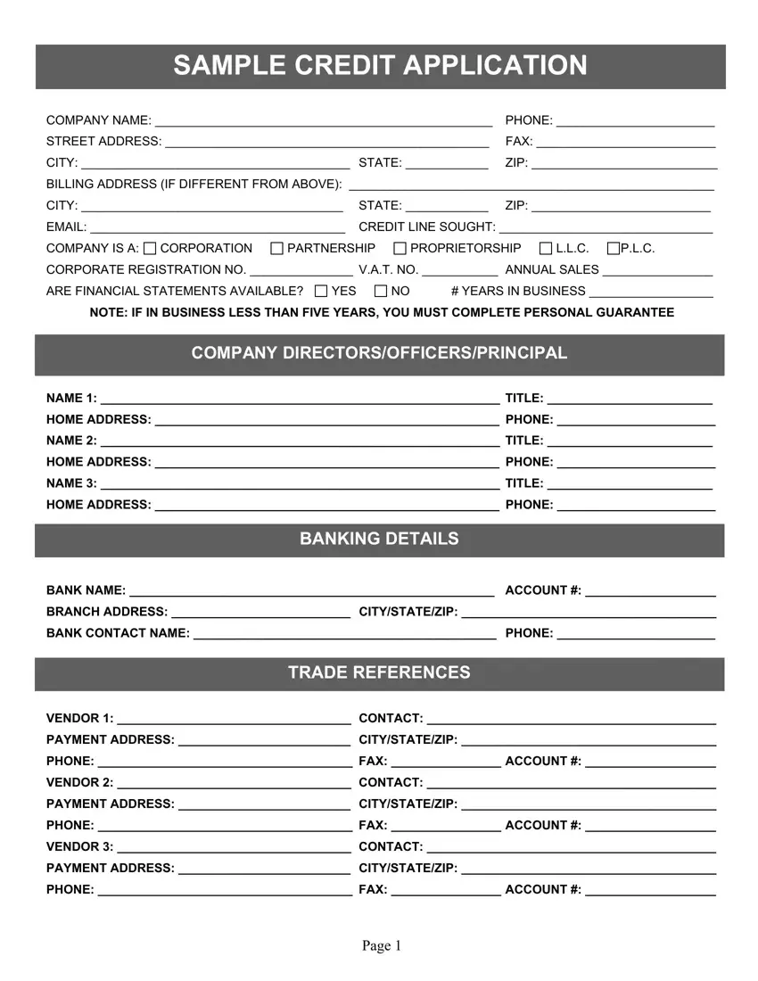Credit Application Form first page preview