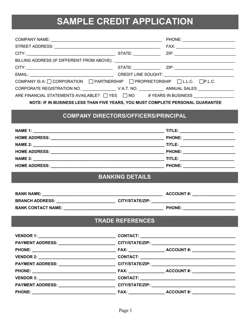 Credit Application Form Fill Out Printable PDF Forms Online
