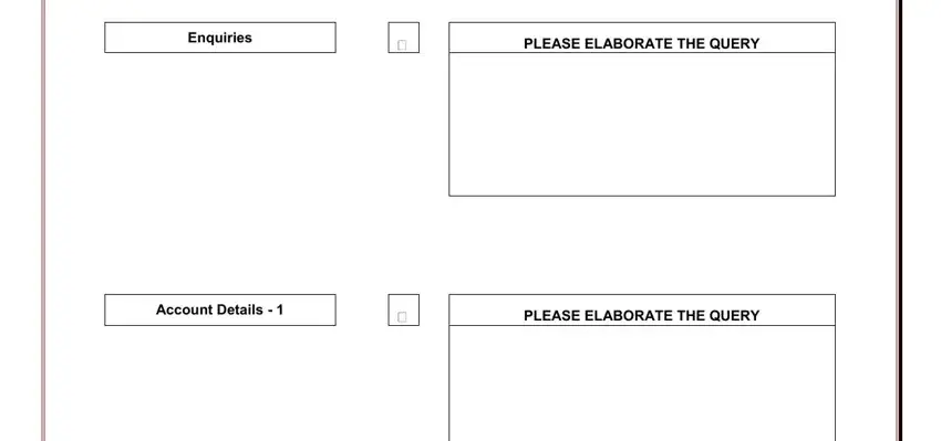 Enquiries, PLEASE ELABORATE THE QUERY, Account Details, and PLEASE ELABORATE THE QUERY in equifax credit investigation form