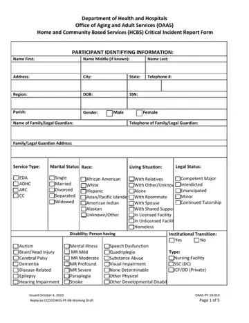 Critical Incident Report Form Preview