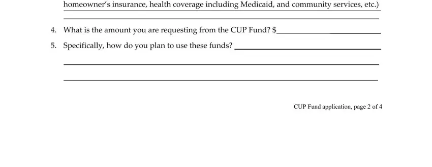 cup fund starbucks homeowners insurance health, What is the amount you are, Specifically how do you plan to, and CUP Fund application page  of fields to fill out