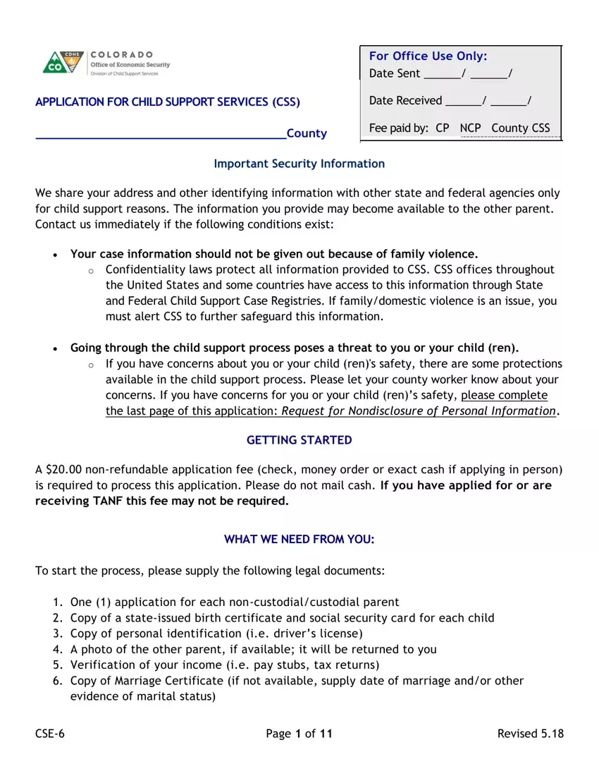 Custodial Party Child Support Application first page preview