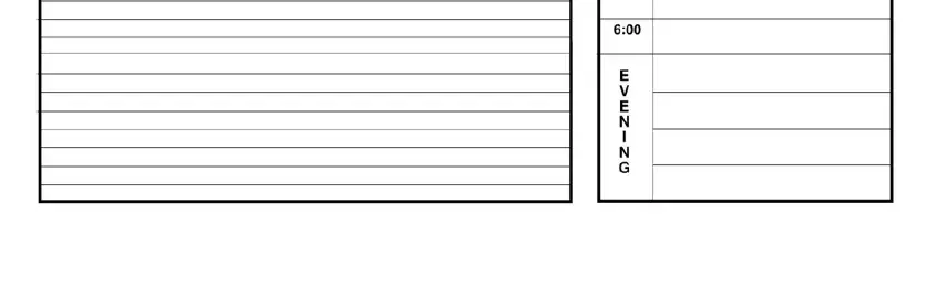 Entering details in daily planner 15 minute increments pdf stage 3