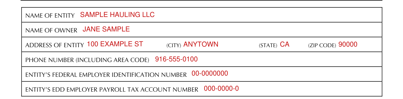 Form DE 1870 example filled out, name of entity, name of owner and address of entity