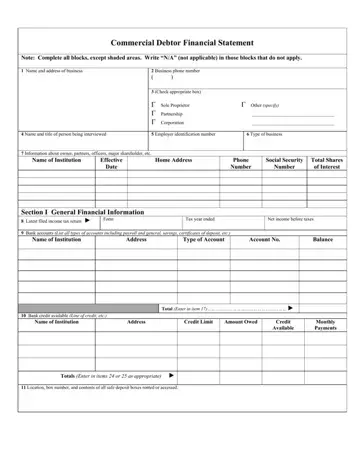 Debtor Financial Statement Form Preview