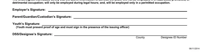 Entering details in workers permit form step 2