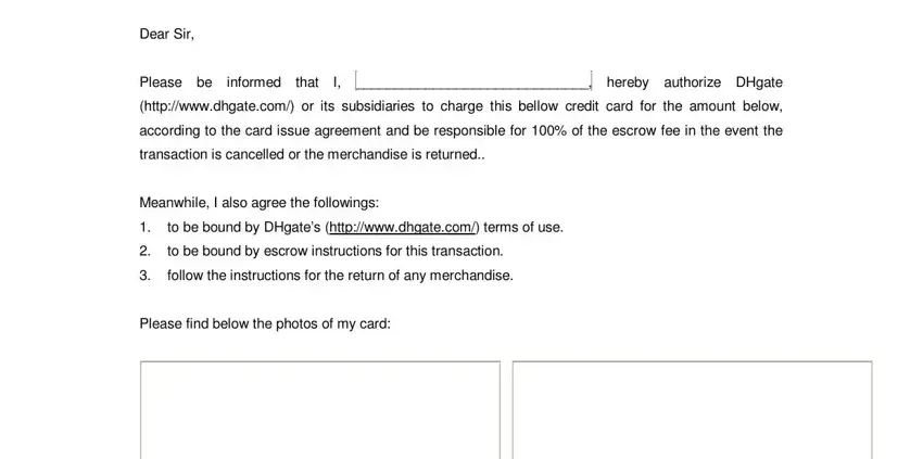 portion of spaces in dhgate payment authorization