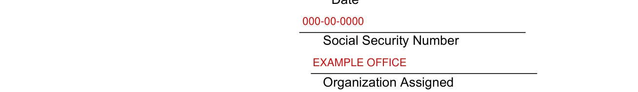 DHS Form 11000-9 example filled out, social Security Number and Organization Assigned
