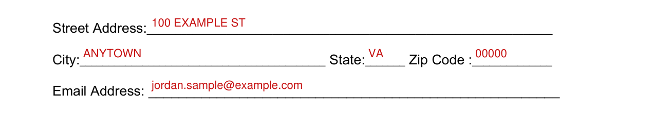 DHS Form 11000-9 example filled out, street Address, City, State, Zip Code and Email Address