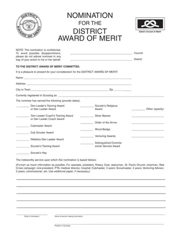 District Award Merit Form Preview