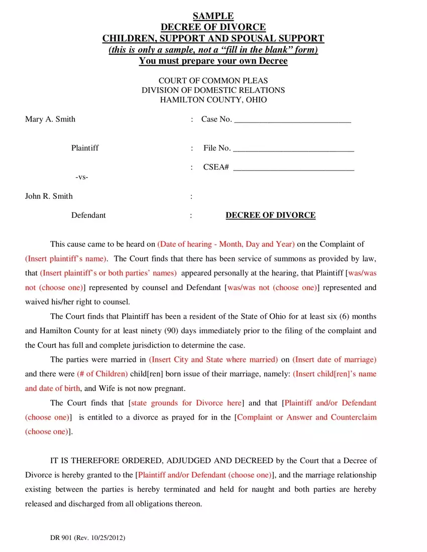 Divorce Decree Sample first page preview